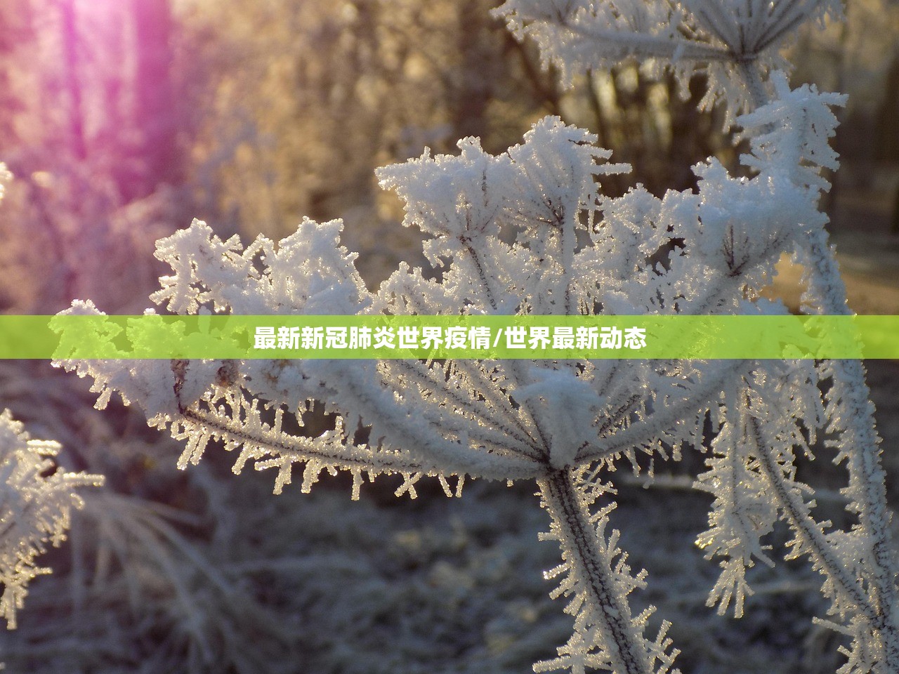 最新新冠肺炎世界疫情/世界最新动态 最新新冠肺炎世界疫情/世界最新动态