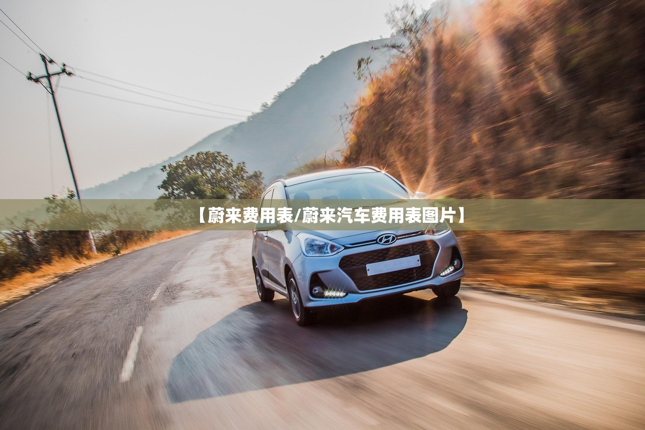 【蔚来费用表/蔚来汽车费用表图片】 【蔚来费用表/蔚来汽车费用表图片】