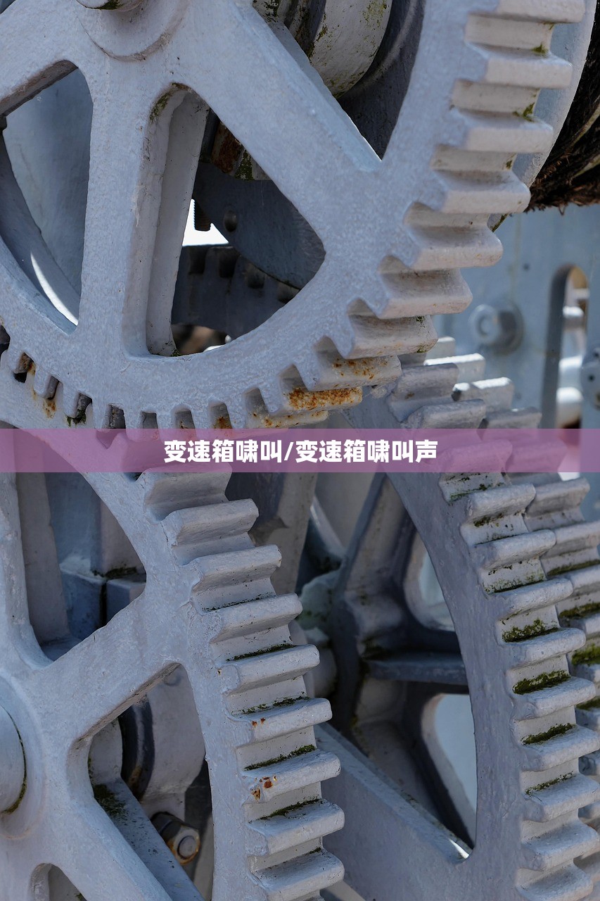 变速箱啸叫/变速箱啸叫声 变速箱啸叫/变速箱啸叫声