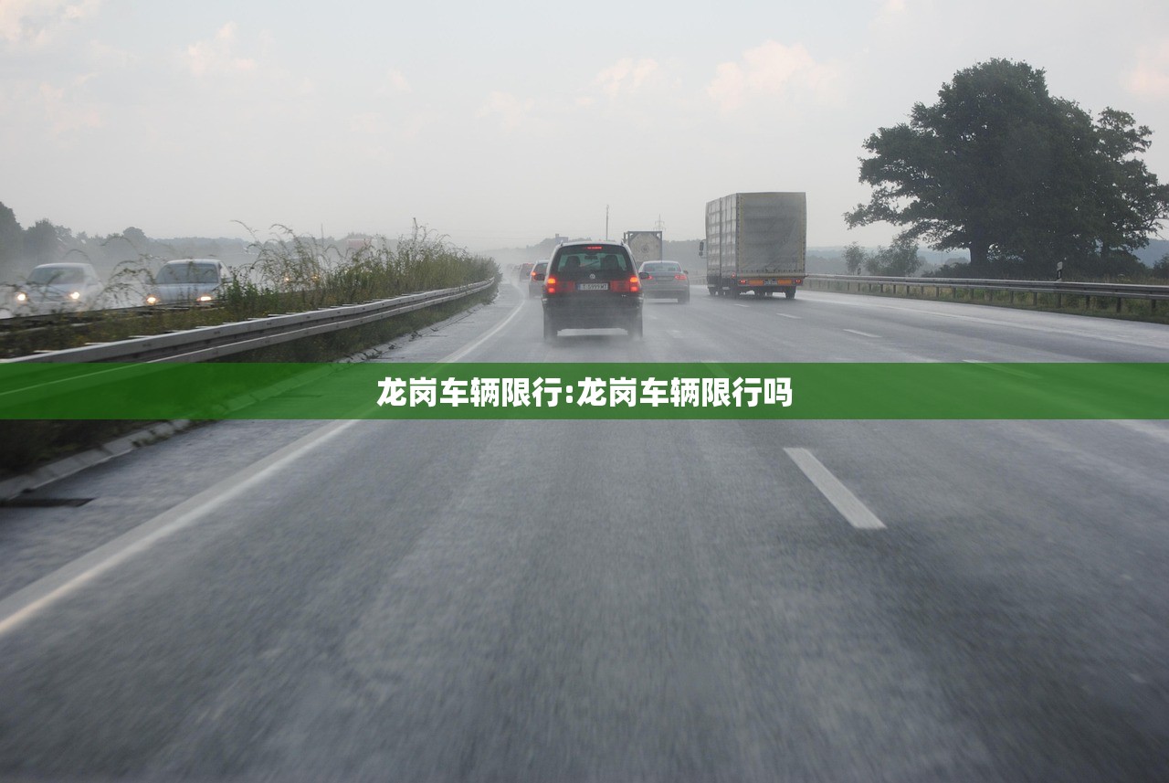 龙岗车辆限行:龙岗车辆限行吗 龙岗车辆限行:龙岗车辆限行吗