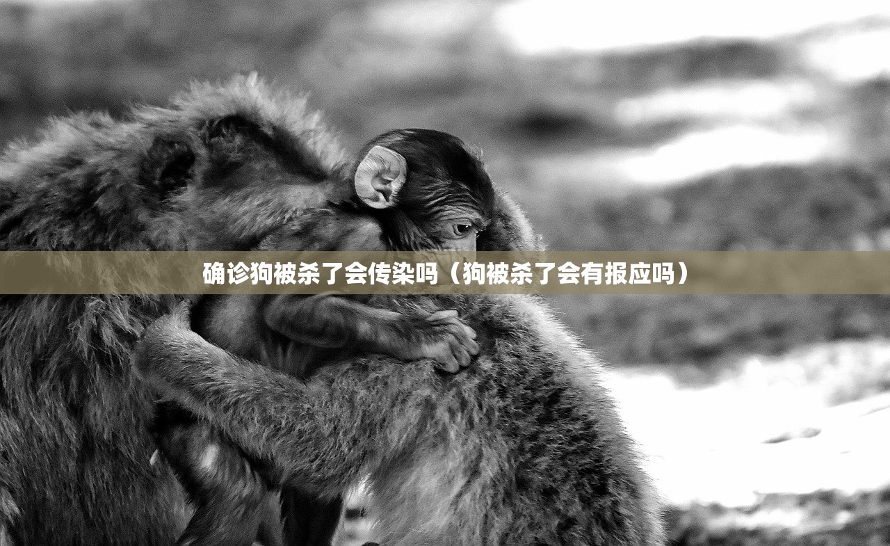 确诊狗被杀了会传染吗（狗被杀了会有报应吗）