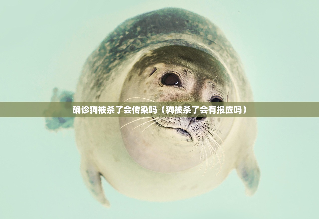 确诊狗被杀了会传染吗（狗被杀了会有报应吗）