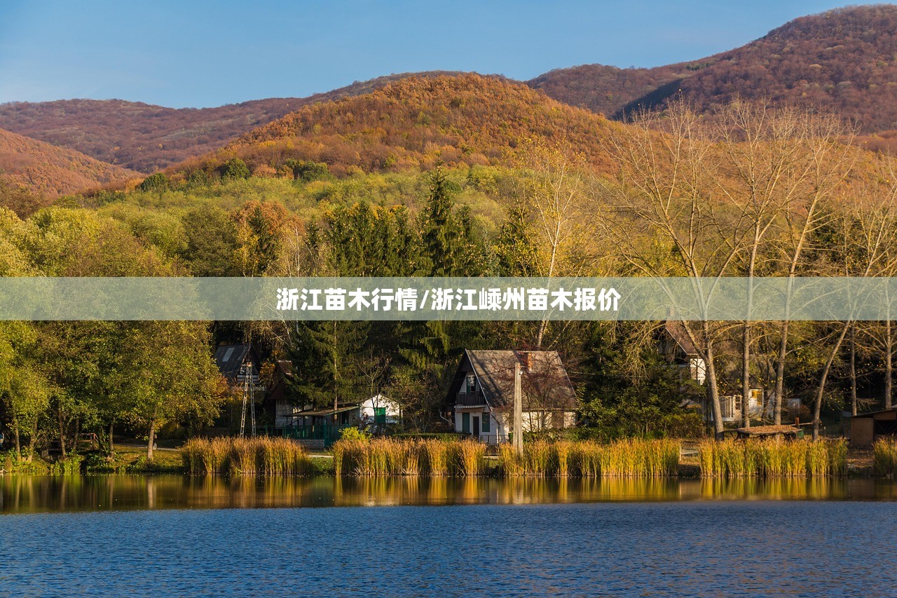 浙江苗木行情/浙江嵊州苗木报价 浙江苗木行情/浙江嵊州苗木报价
