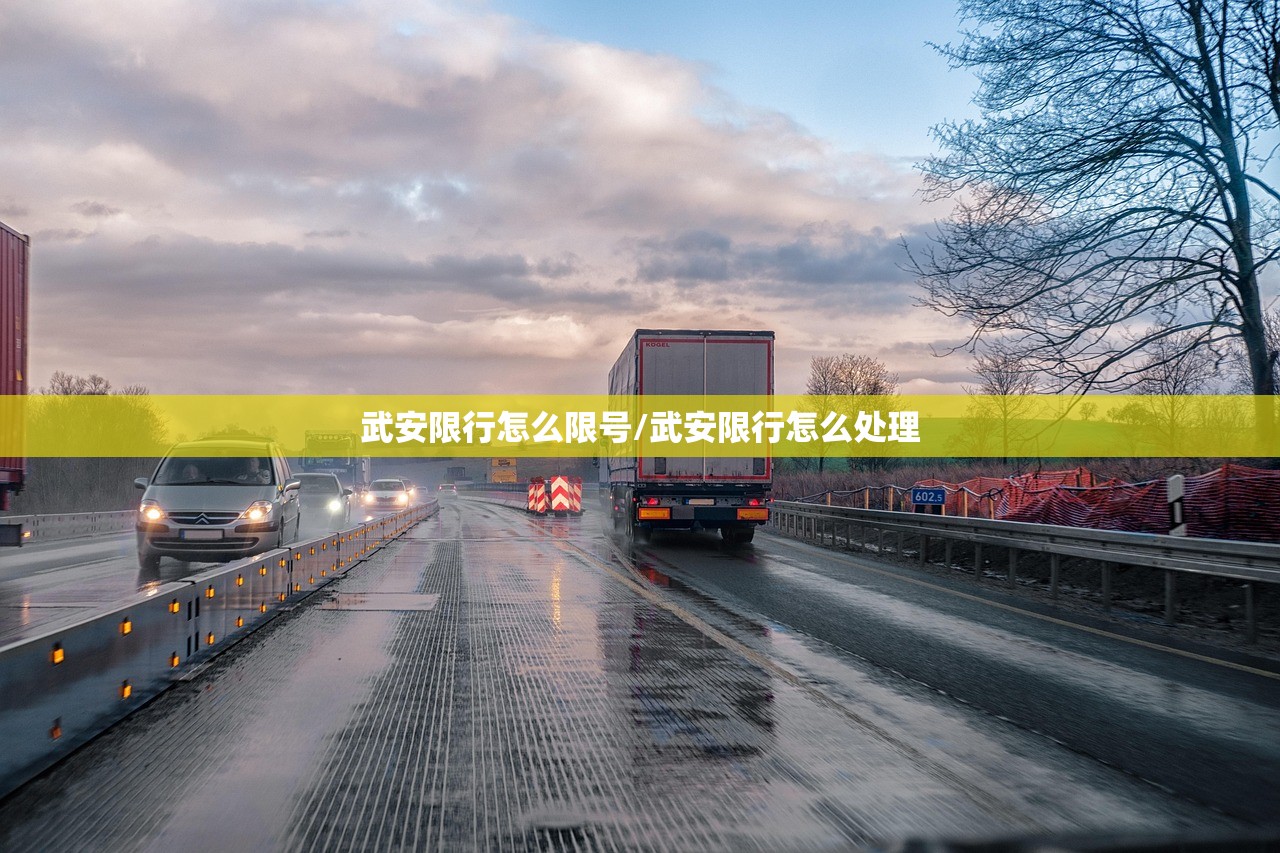 武安限行怎么限号/武安限行怎么处理