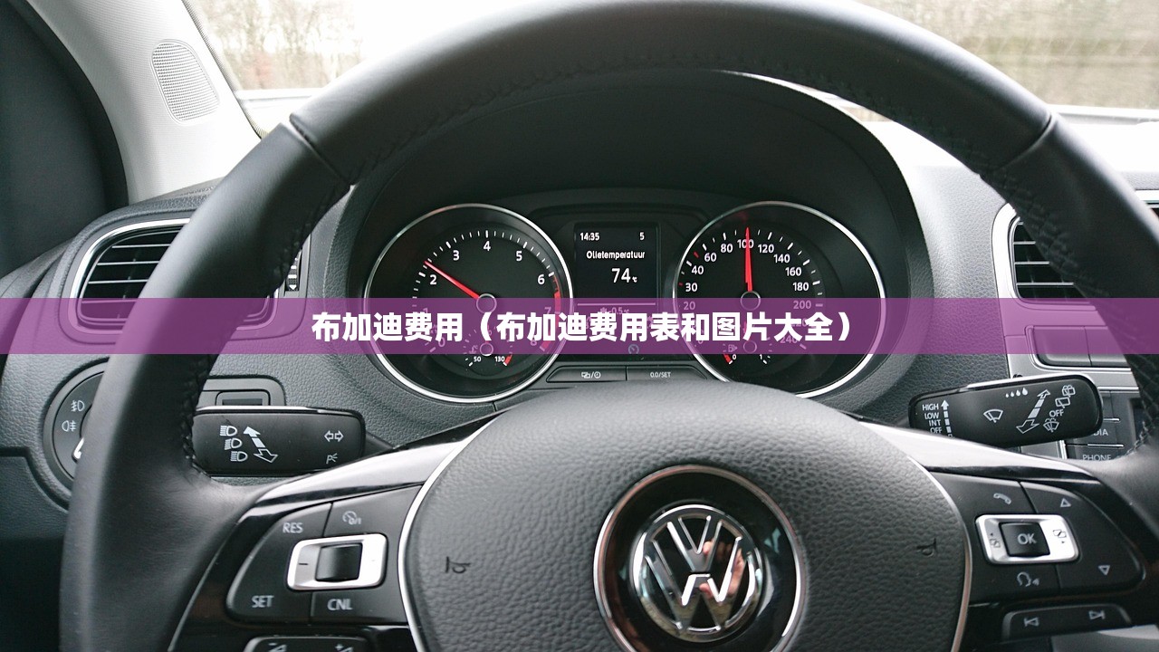 布加迪费用(布加迪费用表和图片大全) 布加迪费用(布加迪费用表和图片大全)