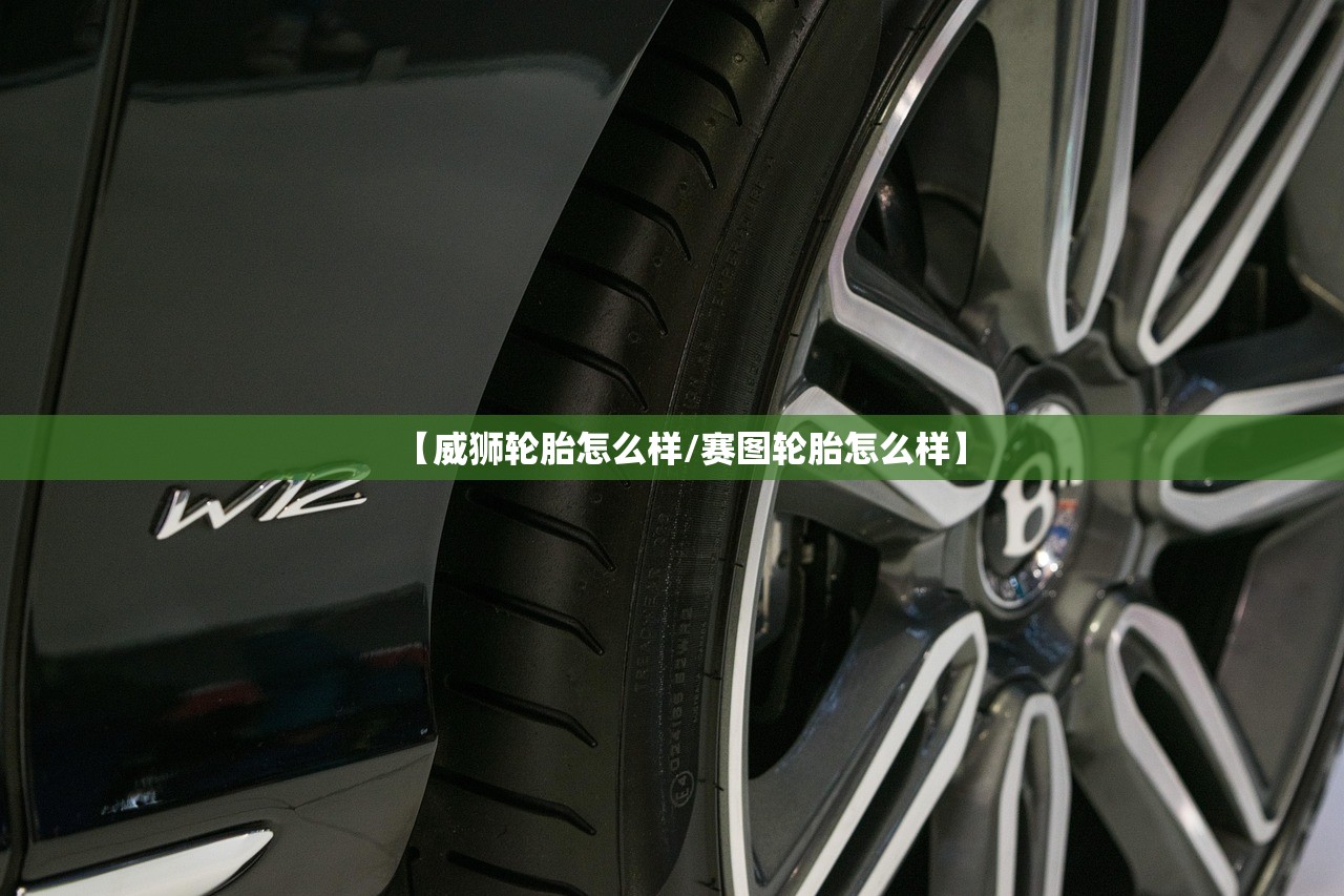 【威狮轮胎怎么样/赛图轮胎怎么样】 【威狮轮胎怎么样/赛图轮胎怎么样】