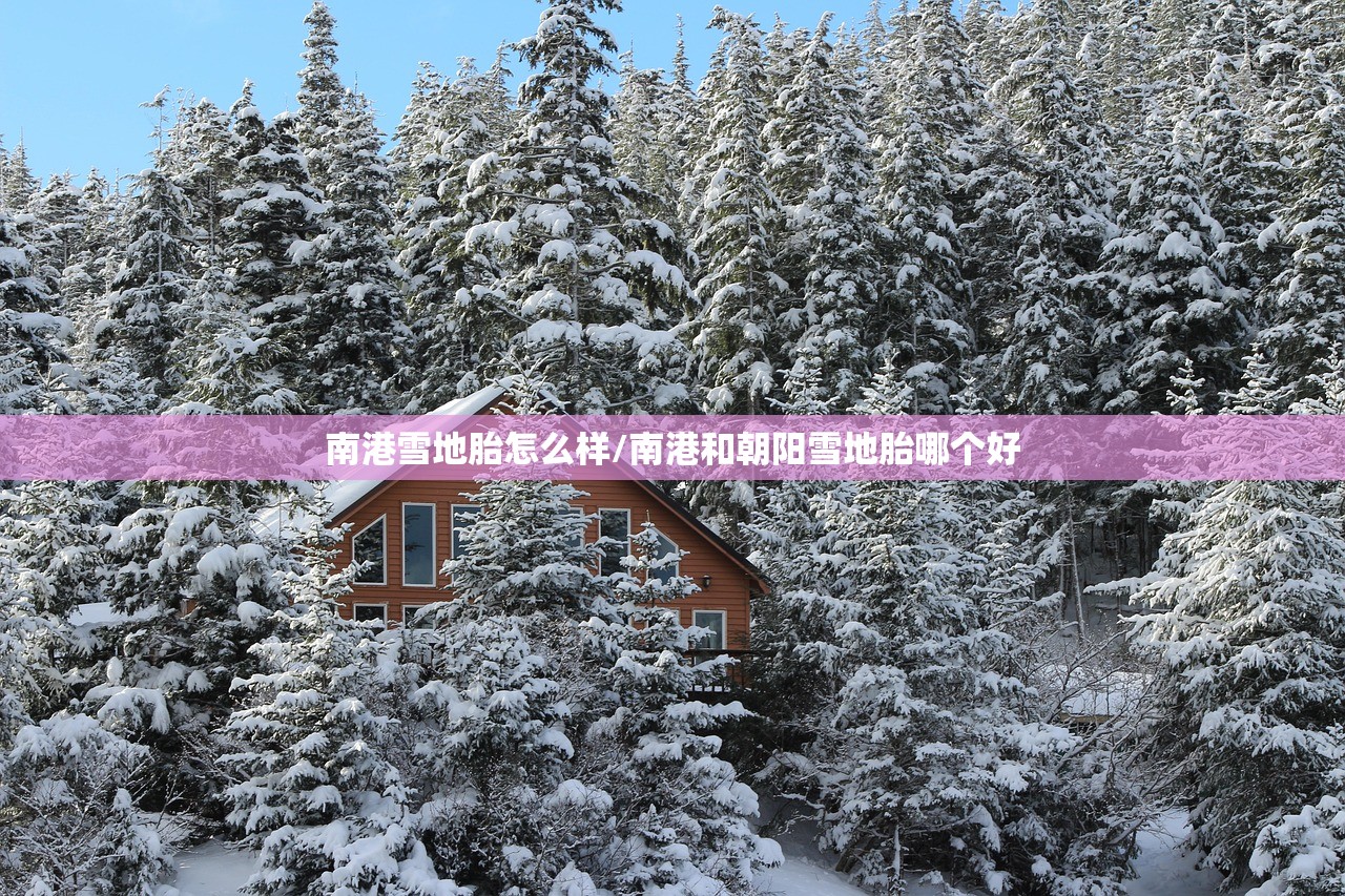 南港雪地胎怎么样/南港和朝阳雪地胎哪个好 南港雪地胎怎么样/南港和朝阳雪地胎哪个好