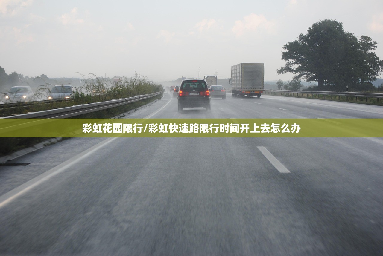 彩虹花园限行/彩虹快速路限行时间开上去怎么办 彩虹花园限行/彩虹快速路限行时间开上去怎么办