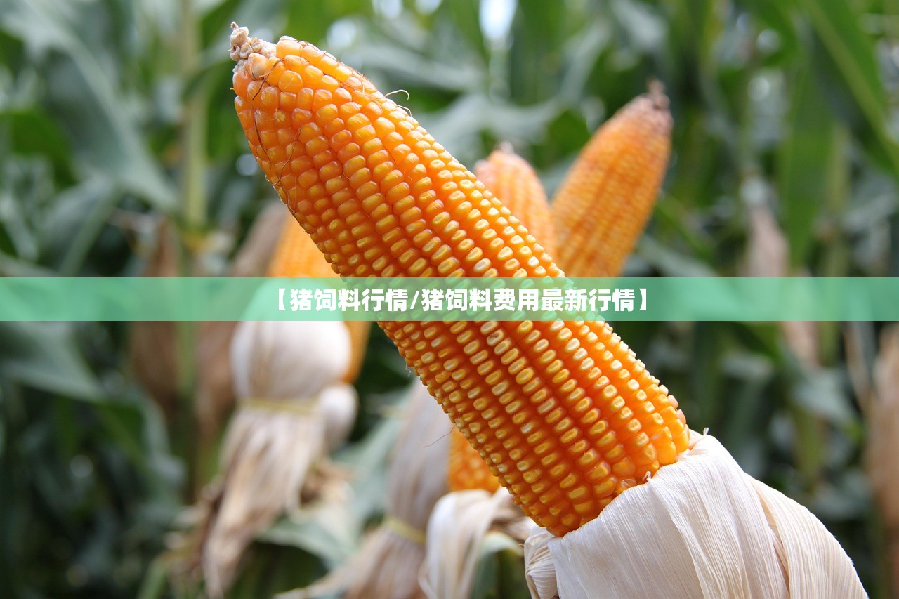 【猪饲料行情/猪饲料费用最新行情】 【猪饲料行情/猪饲料费用最新行情】
