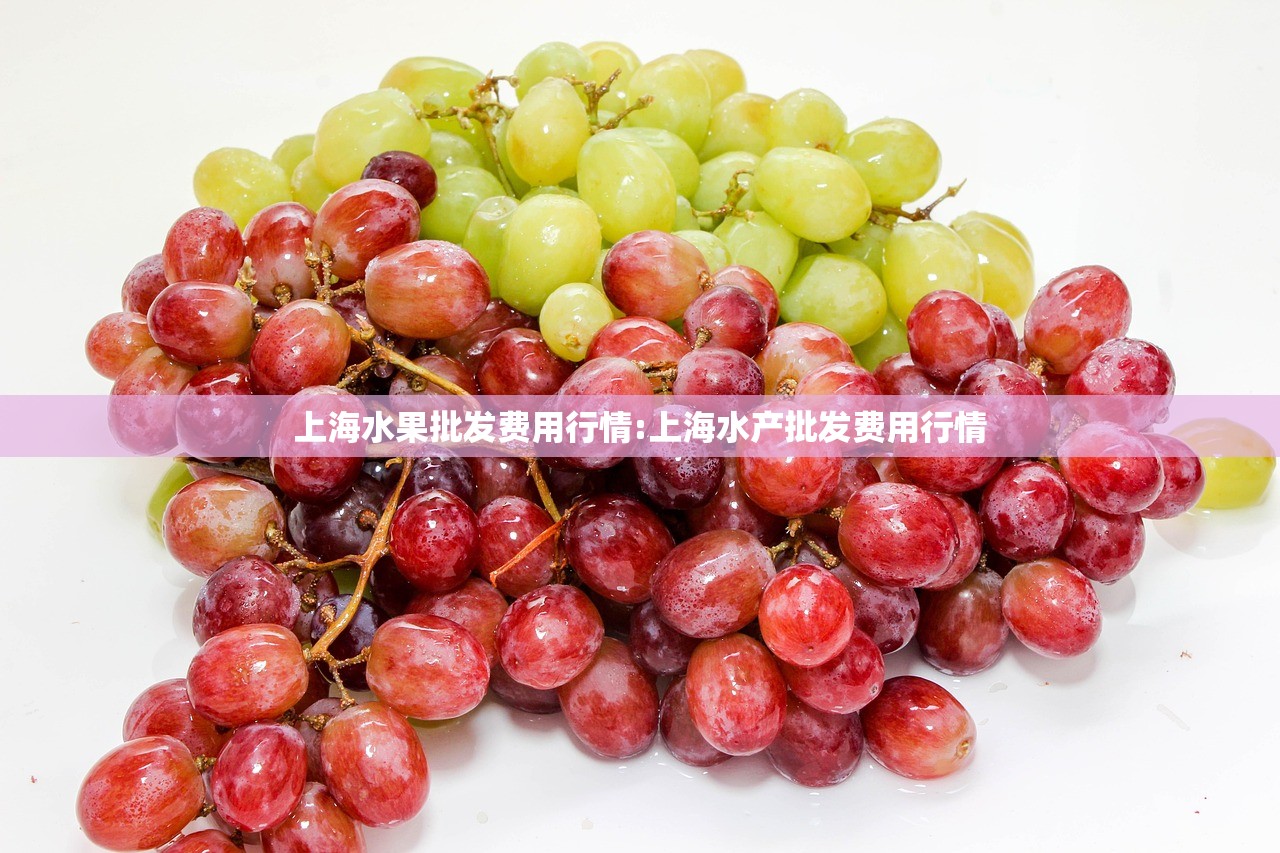 上海水果批发费用行情:上海水产批发费用行情 上海水果批发费用行情:上海水产批发费用行情