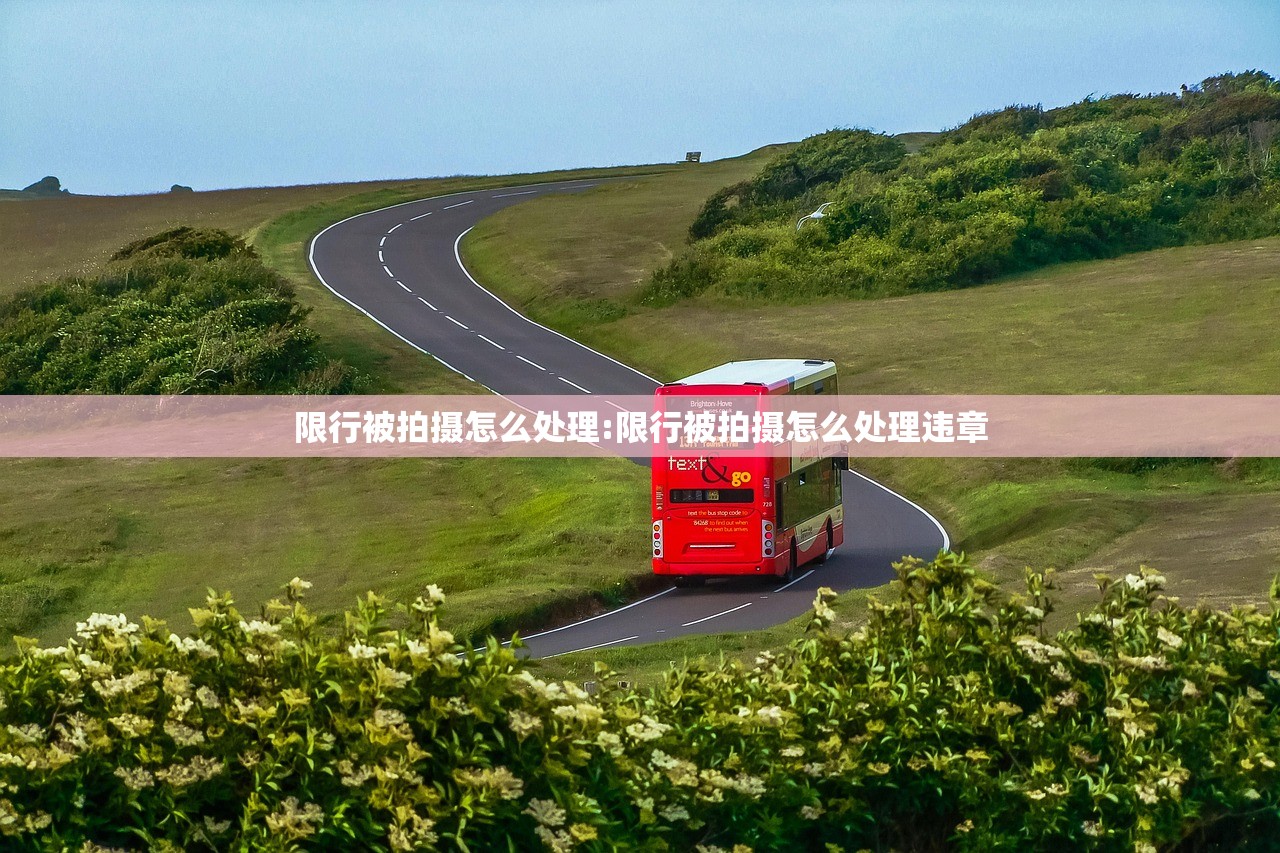 限行被拍摄怎么处理:限行被拍摄怎么处理违章 限行被拍摄怎么处理:限行被拍摄怎么处理违章
