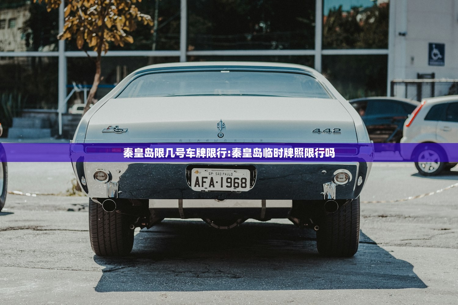 秦皇岛限几号车牌限行:秦皇岛临时牌照限行吗 秦皇岛限几号车牌限行:秦皇岛临时牌照限行吗