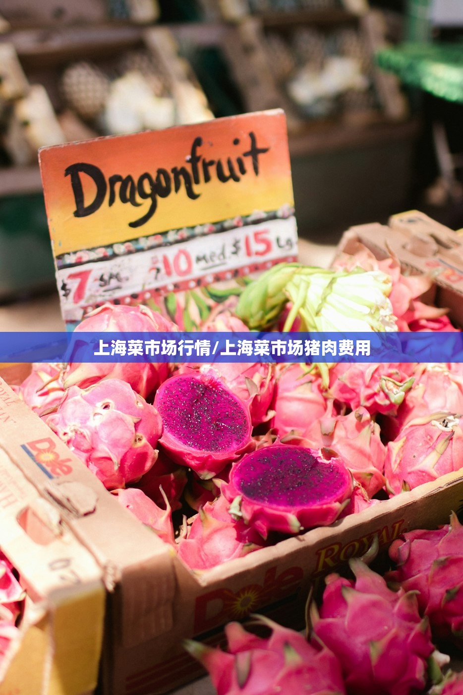 上海菜市场行情/上海菜市场猪肉费用 上海菜市场行情/上海菜市场猪肉费用