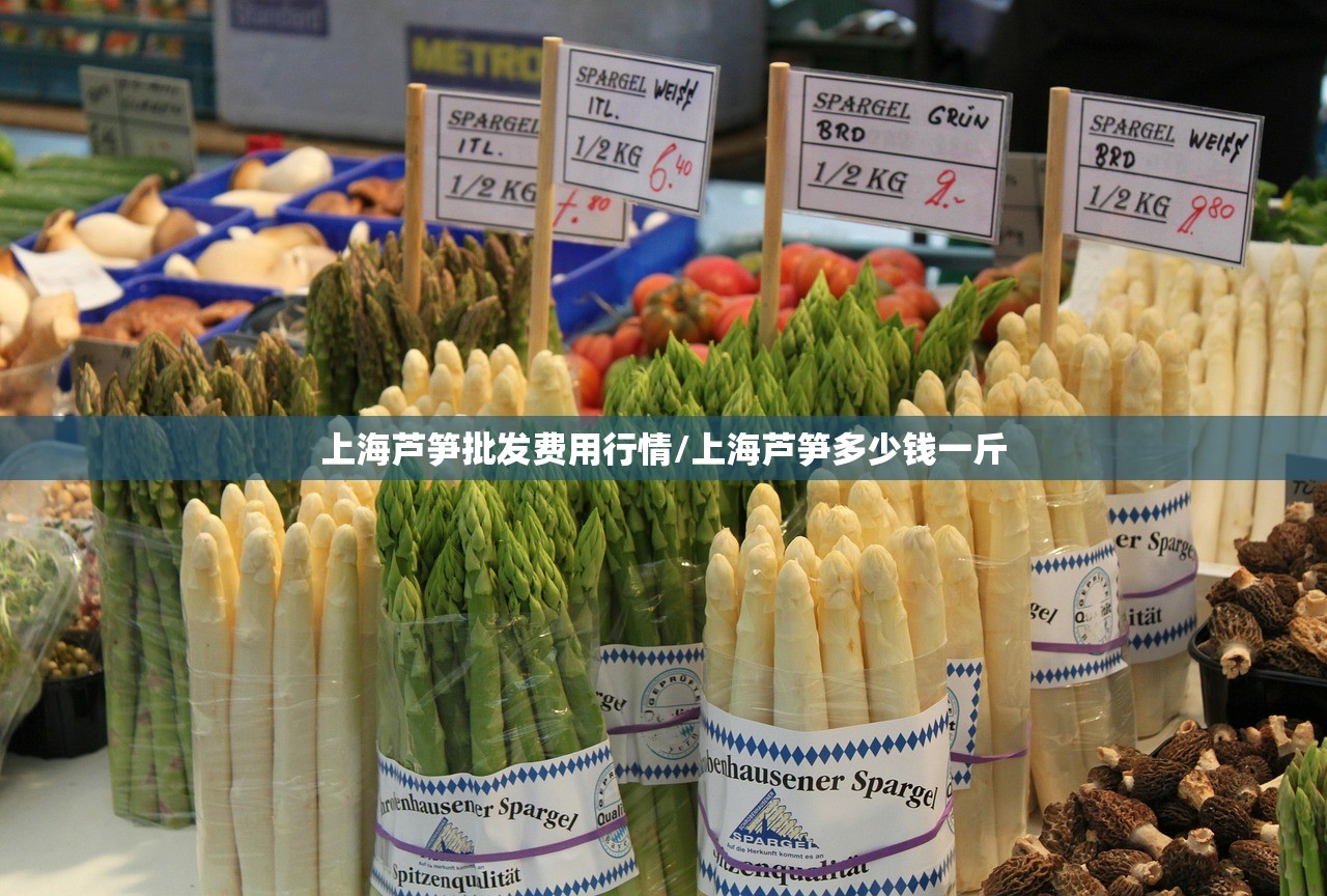 上海芦笋批发费用行情/上海芦笋多少钱一斤 上海芦笋批发费用行情/上海芦笋多少钱一斤