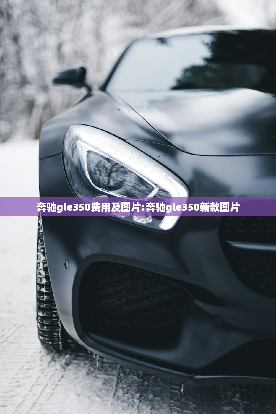奔驰gle350费用及图片:奔驰gle350新款图片