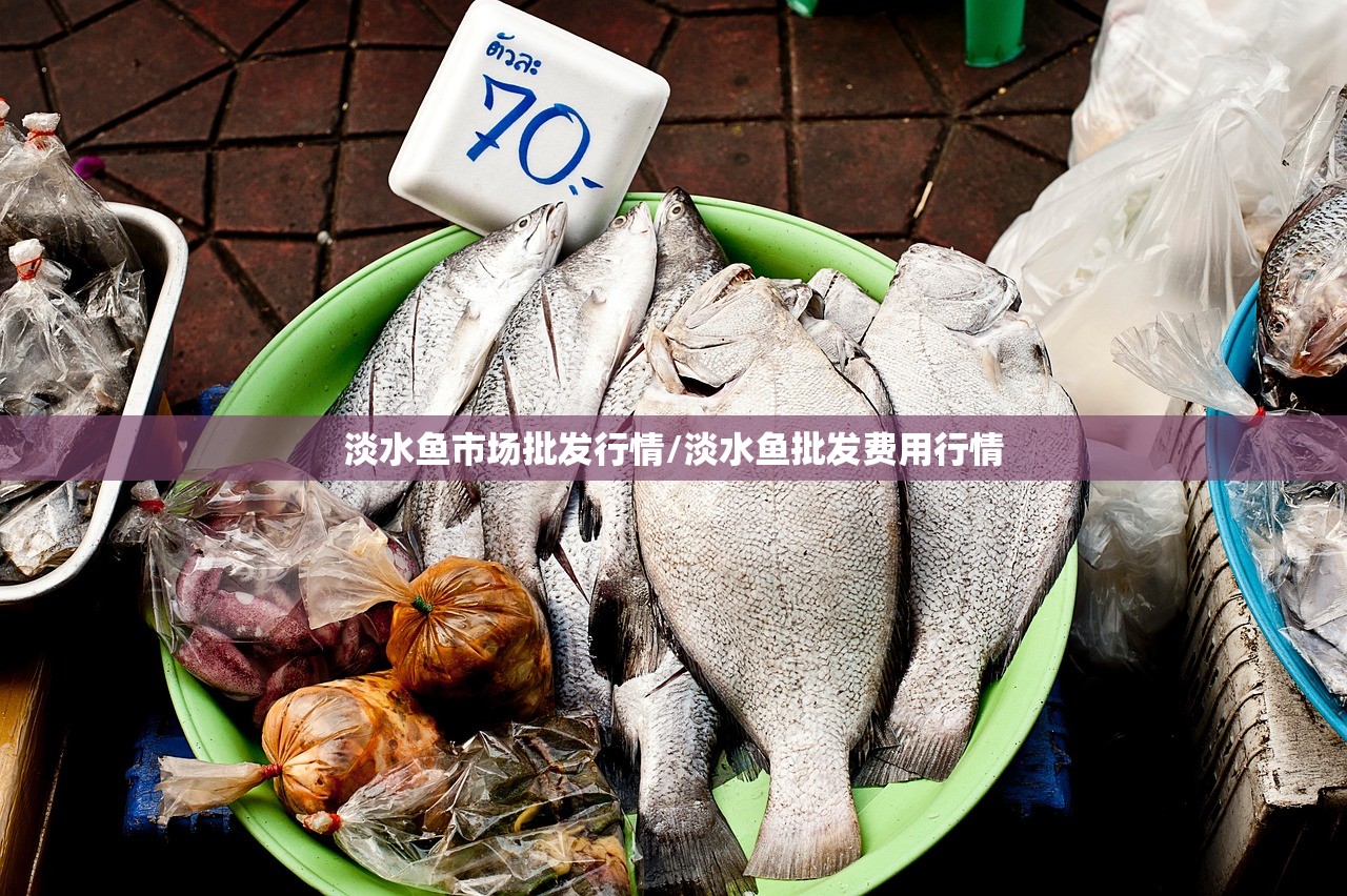 淡水鱼市场批发行情/淡水鱼批发费用行情 淡水鱼市场批发行情/淡水鱼批发费用行情