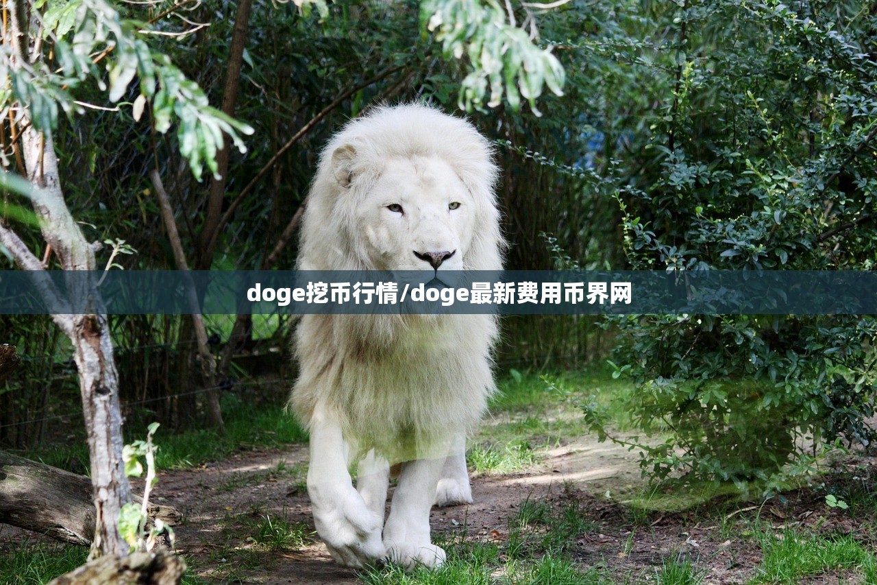 doge挖币行情/doge最新费用币界网