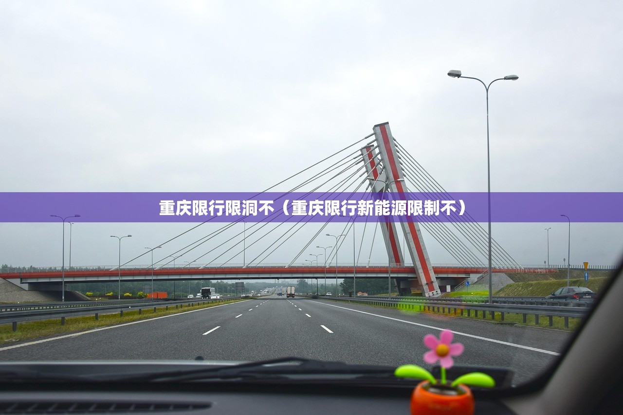 重庆限行限洞不(重庆限行新能源限制不) 重庆限行限洞不(重庆限行新能源限制不)
