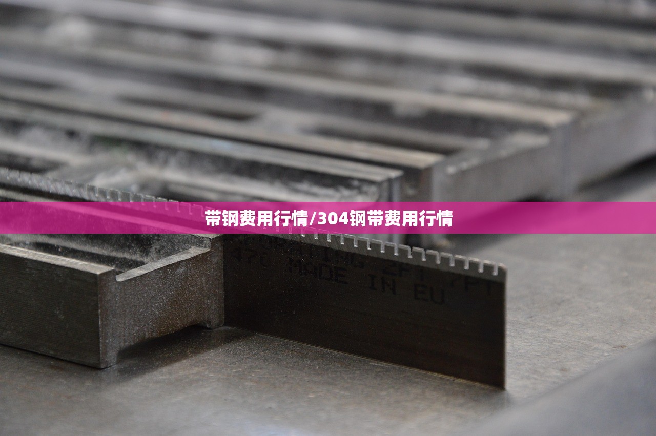 带钢费用行情/304钢带费用行情 带钢费用行情/304钢带费用行情