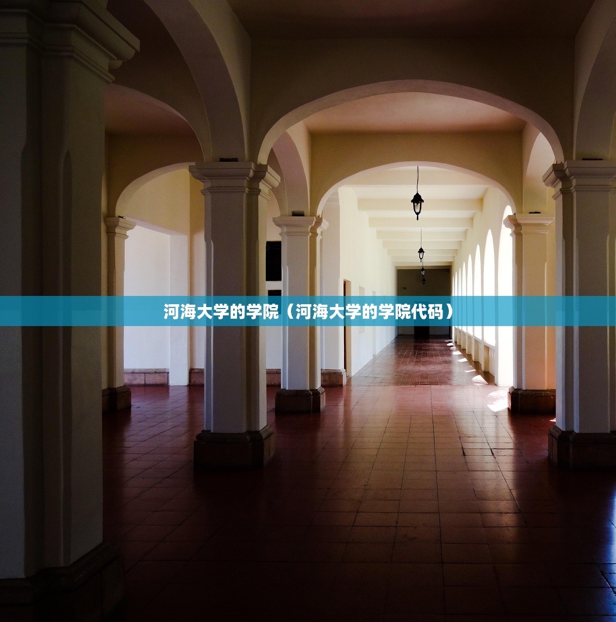 河海大学的学院(河海大学的学院代码) 河海大学的学院(河海大学的学院代码)