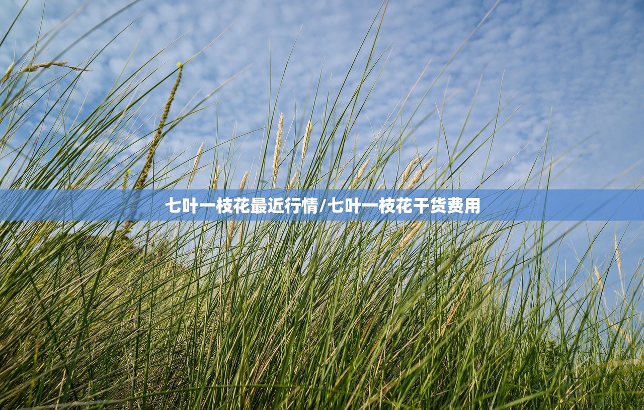 七叶一枝花最近行情/七叶一枝花干货费用 七叶一枝花最近行情/七叶一枝花干货费用