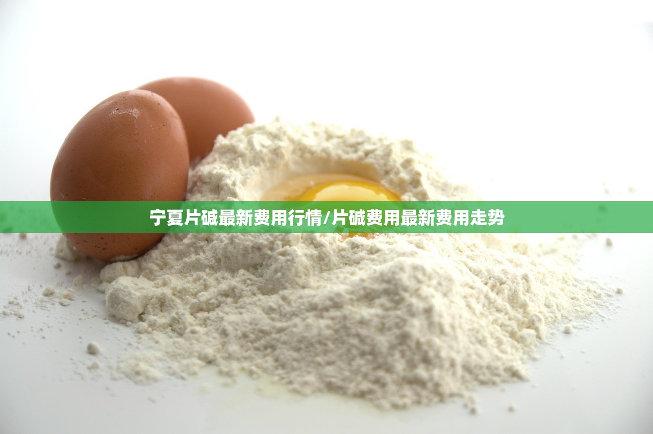 宁夏片碱最新费用行情/片碱费用最新费用走势 宁夏片碱最新费用行情/片碱费用最新费用走势