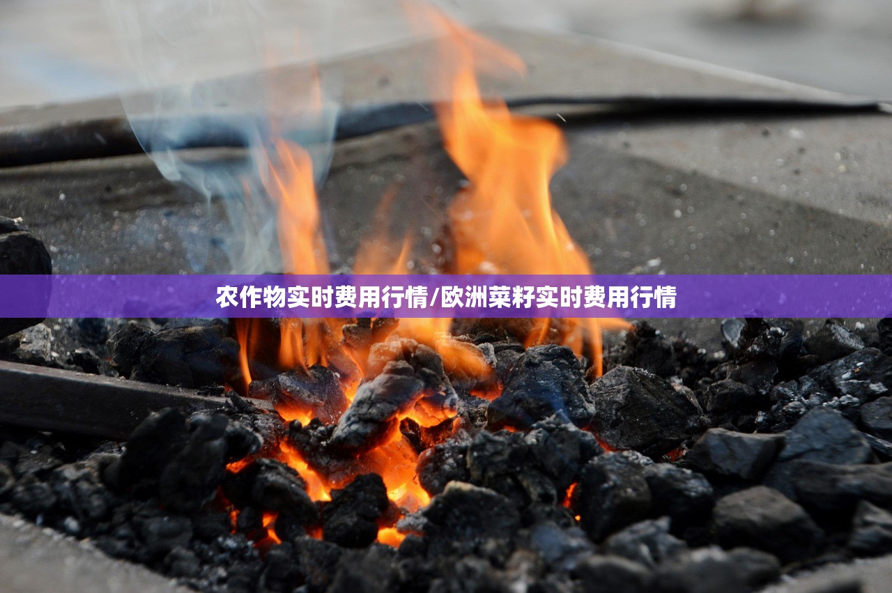 农作物实时费用行情/欧洲菜籽实时费用行情