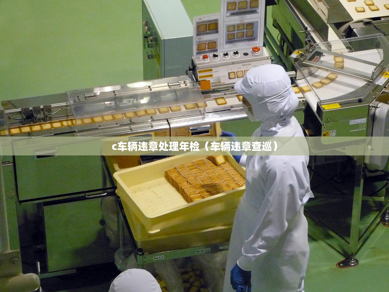 c车辆违章处理年检(车辆违章查巡) c车辆违章处理年检(车辆违章查巡)