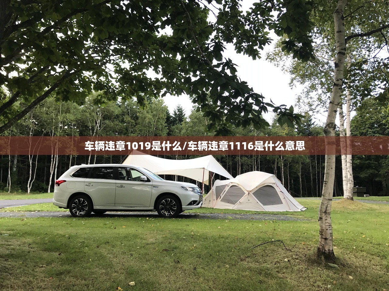 车辆违章1019是什么/车辆违章1116是什么意思 车辆违章1019是什么/车辆违章1116是什么意思