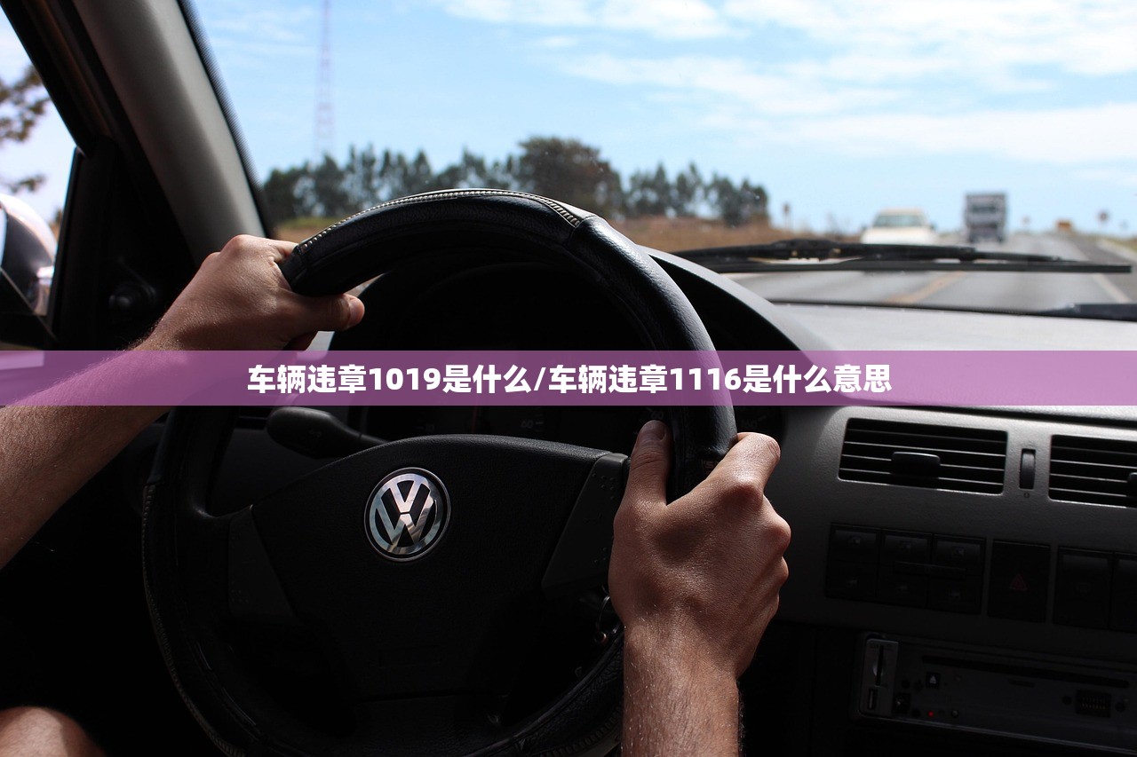 车辆违章1019是什么/车辆违章1116是什么意思 车辆违章1019是什么/车辆违章1116是什么意思