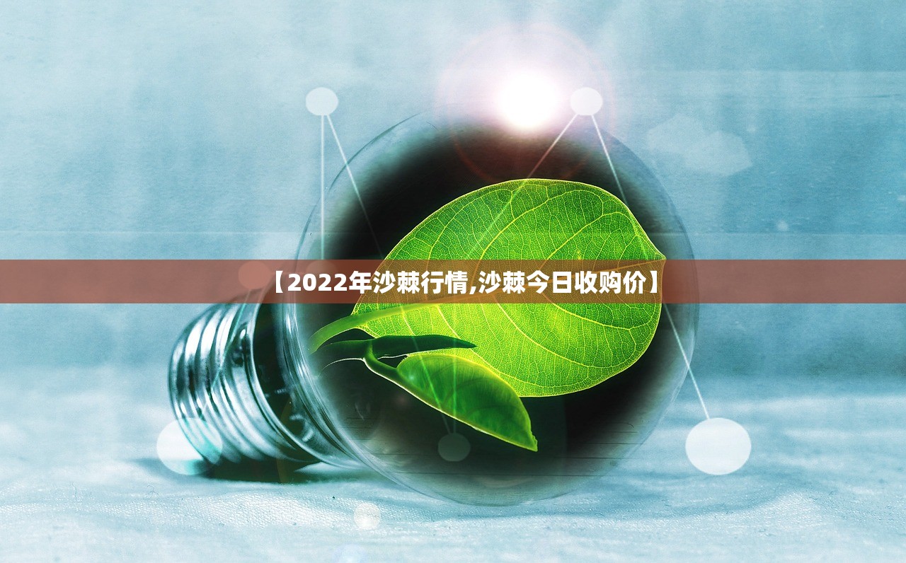 【2022年沙棘行情,沙棘今日收购价】 【2022年沙棘行情,沙棘今日收购价】