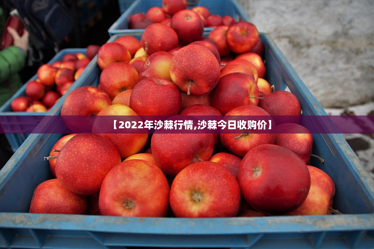 【2022年沙棘行情,沙棘今日收购价】 【2022年沙棘行情,沙棘今日收购价】