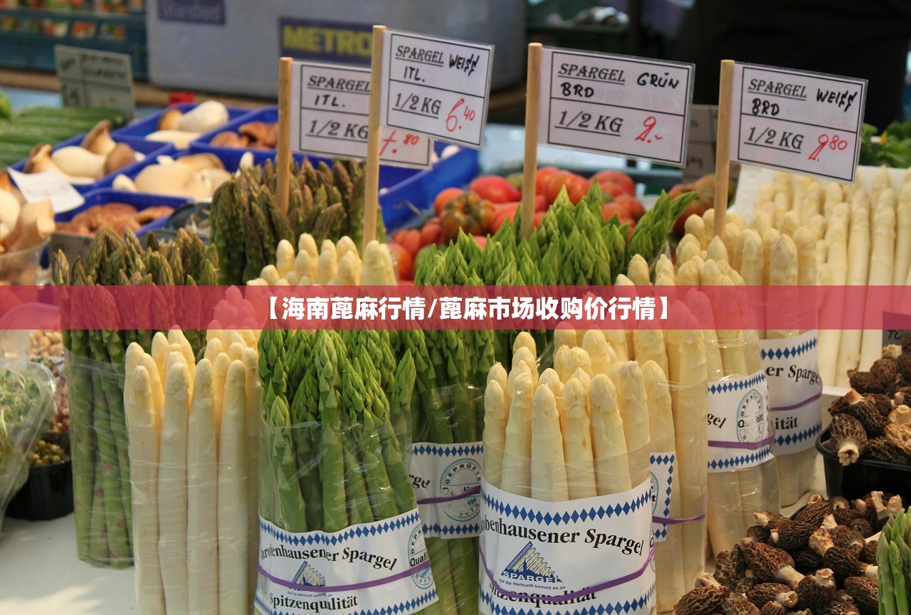 【海南蓖麻行情/蓖麻市场收购价行情】