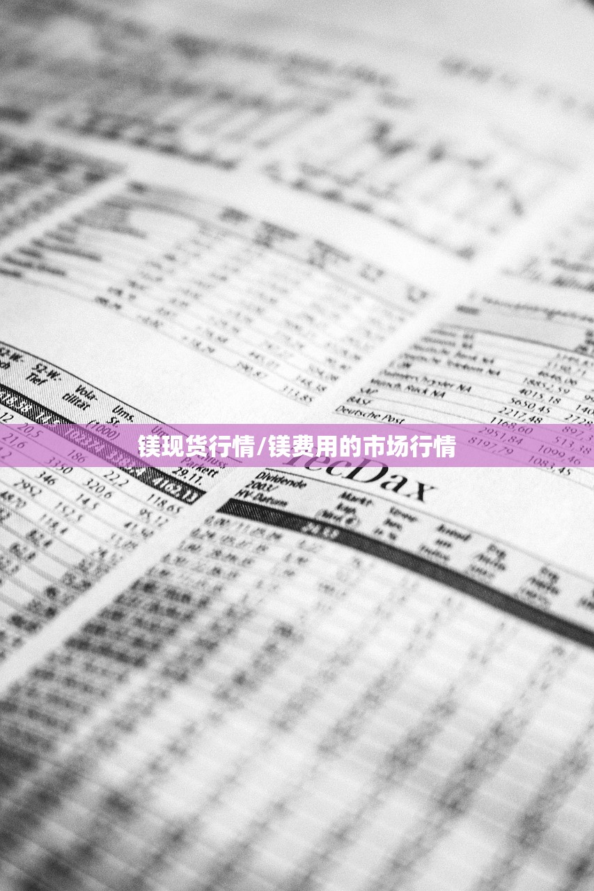 镁现货行情/镁费用的市场行情
