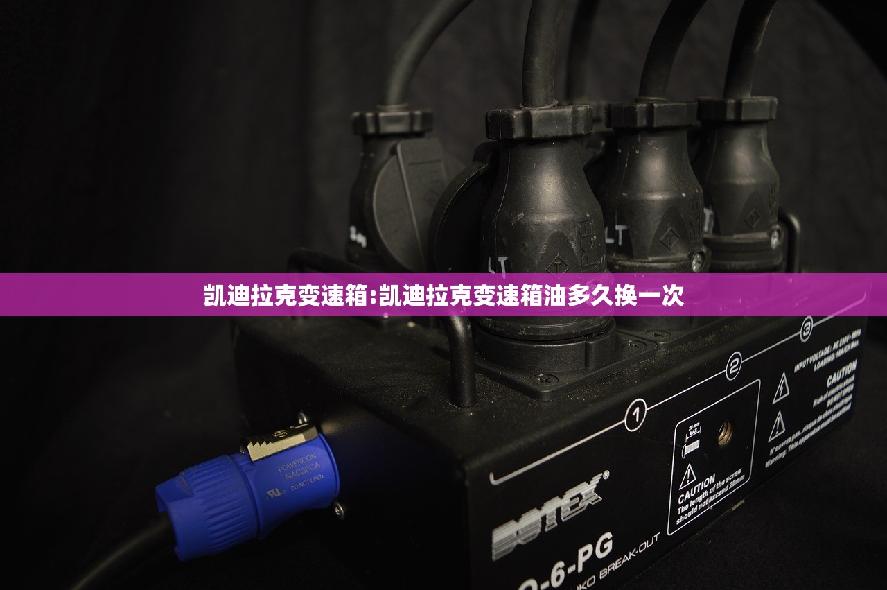 凯迪拉克变速箱:凯迪拉克变速箱油多久换一次 凯迪拉克变速箱:凯迪拉克变速箱油多久换一次