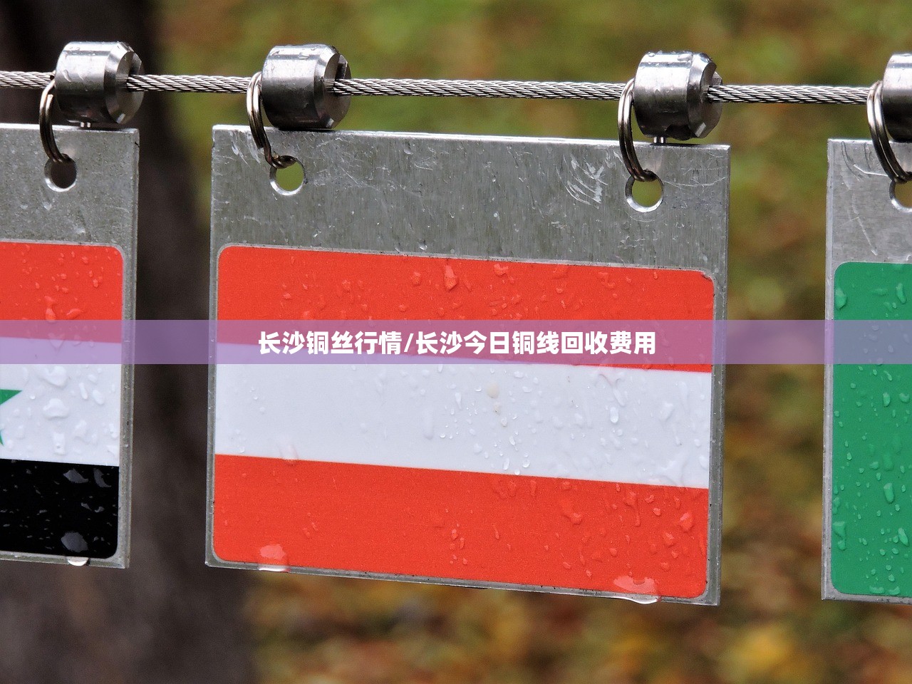 长沙铜丝行情/长沙今日铜线回收费用 长沙铜丝行情/长沙今日铜线回收费用