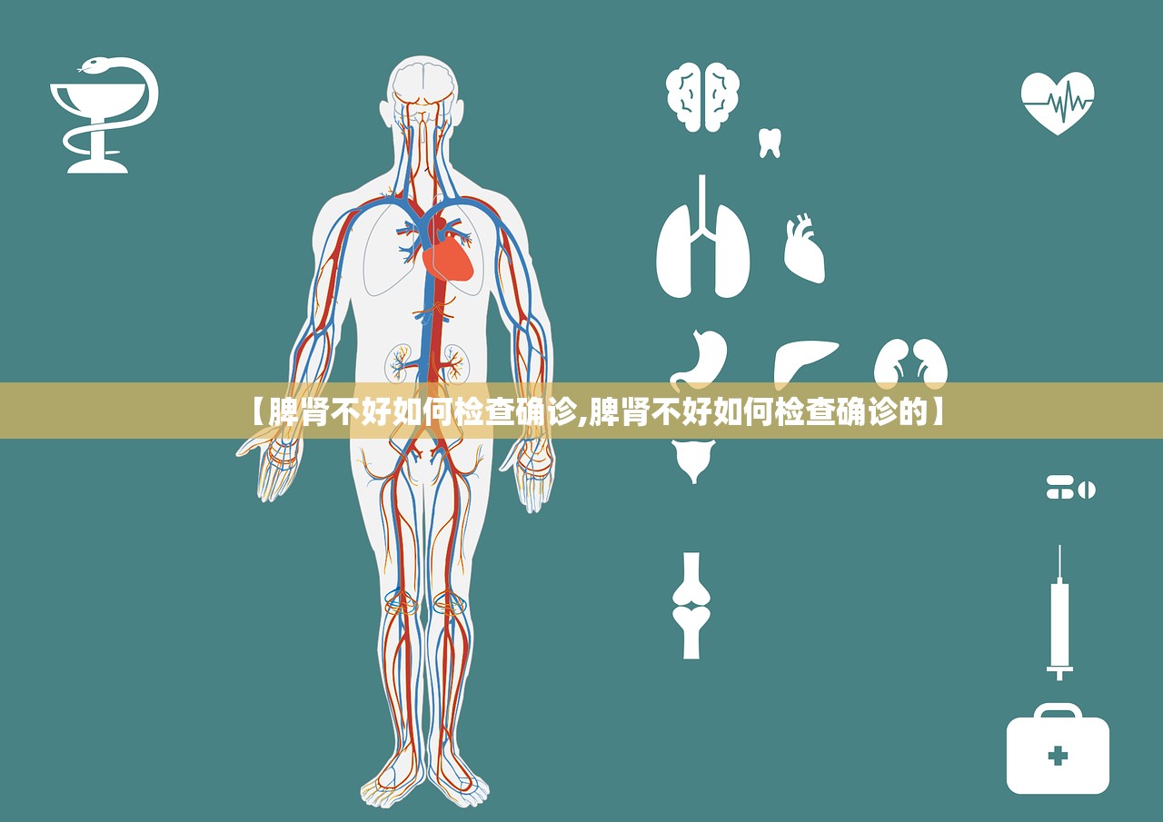 【脾肾不好如何检查确诊,脾肾不好如何检查确诊的】 【脾肾不好如何检查确诊,脾肾不好如何检查确诊的】