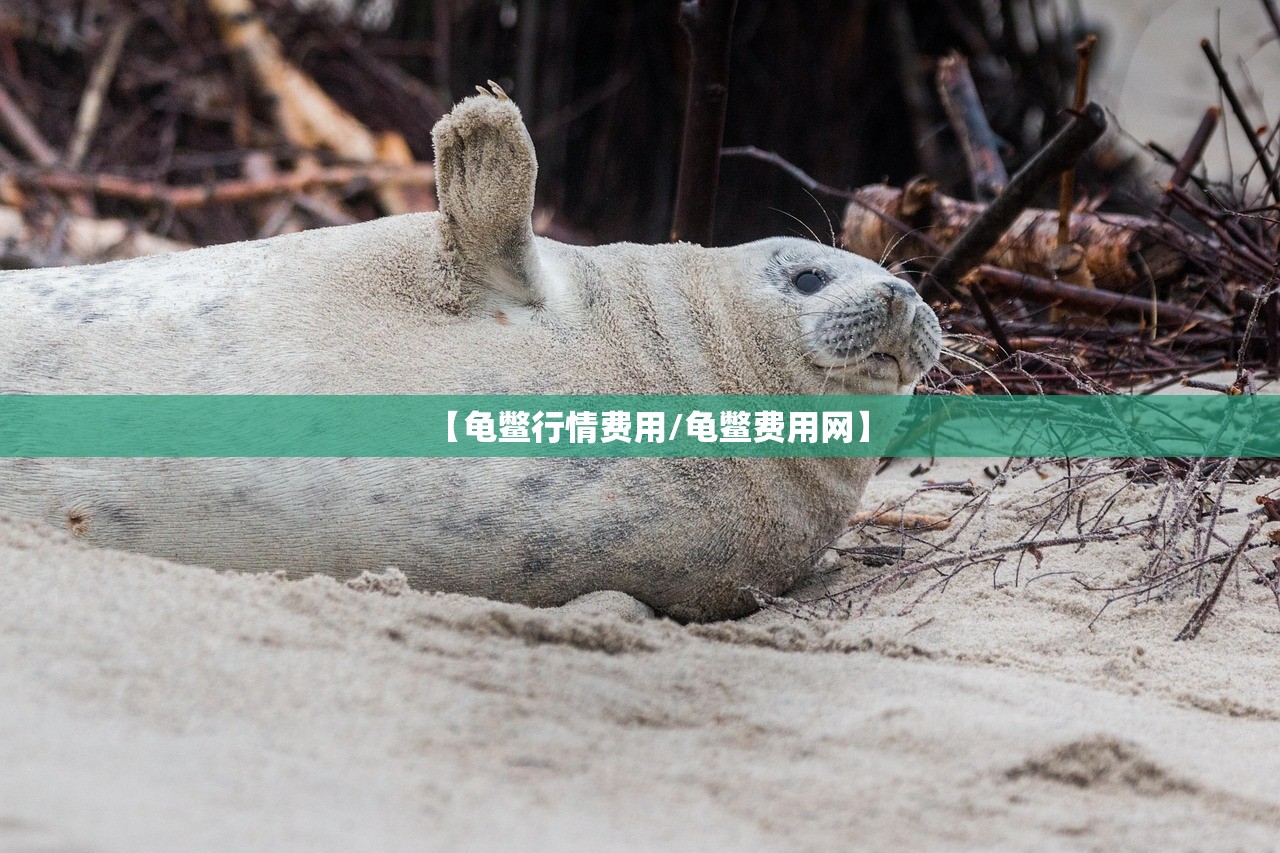 【龟鳖行情费用/龟鳖费用网】 【龟鳖行情费用/龟鳖费用网】