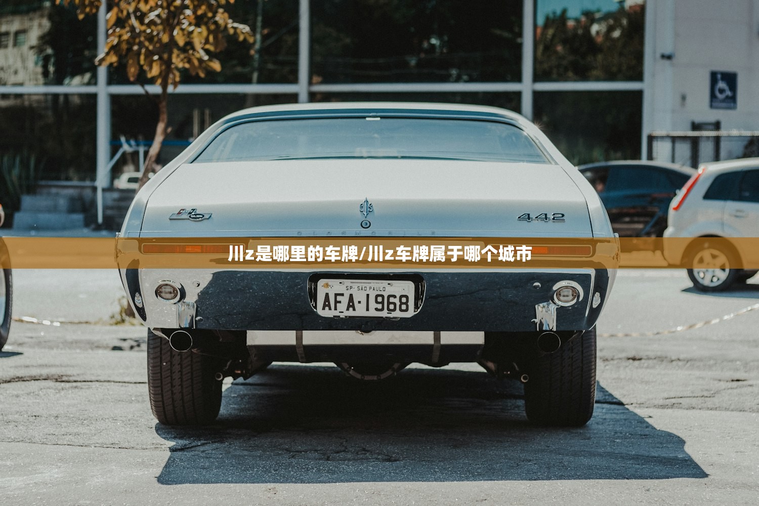 川z是哪里的车牌/川z车牌属于哪个城市 川z是哪里的车牌/川z车牌属于哪个城市