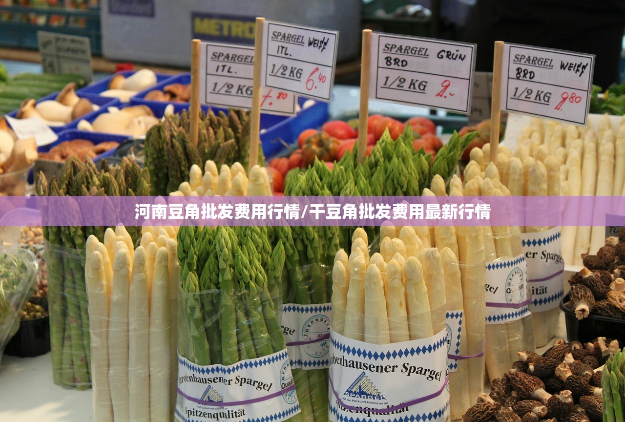 河南豆角批发费用行情/干豆角批发费用最新行情 河南豆角批发费用行情/干豆角批发费用最新行情