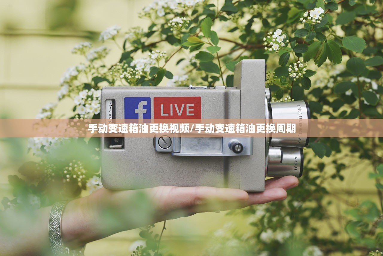 手动变速箱油更换视频/手动变速箱油更换周期
