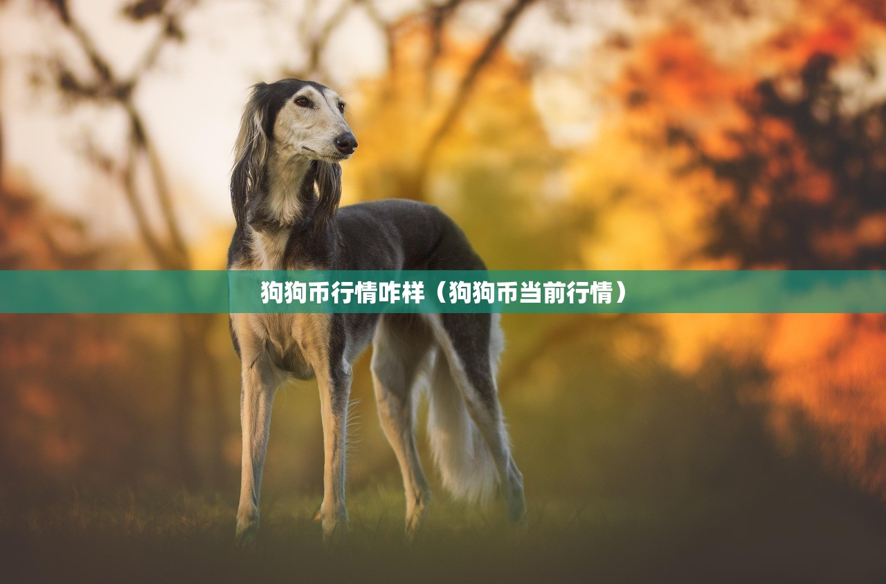 狗狗币行情咋样(狗狗币当前行情) 狗狗币行情咋样(狗狗币当前行情)