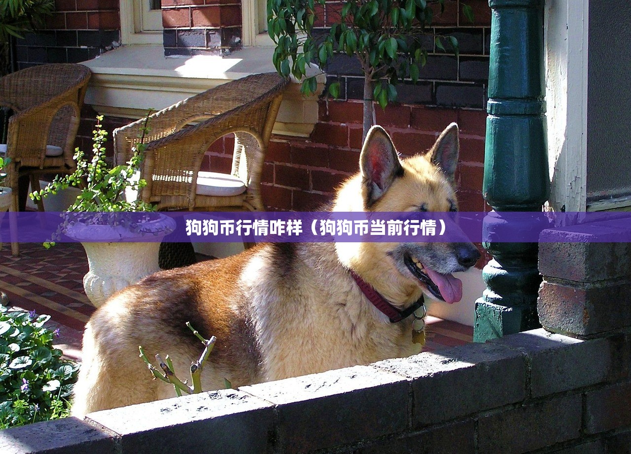 狗狗币行情咋样(狗狗币当前行情) 狗狗币行情咋样(狗狗币当前行情)
