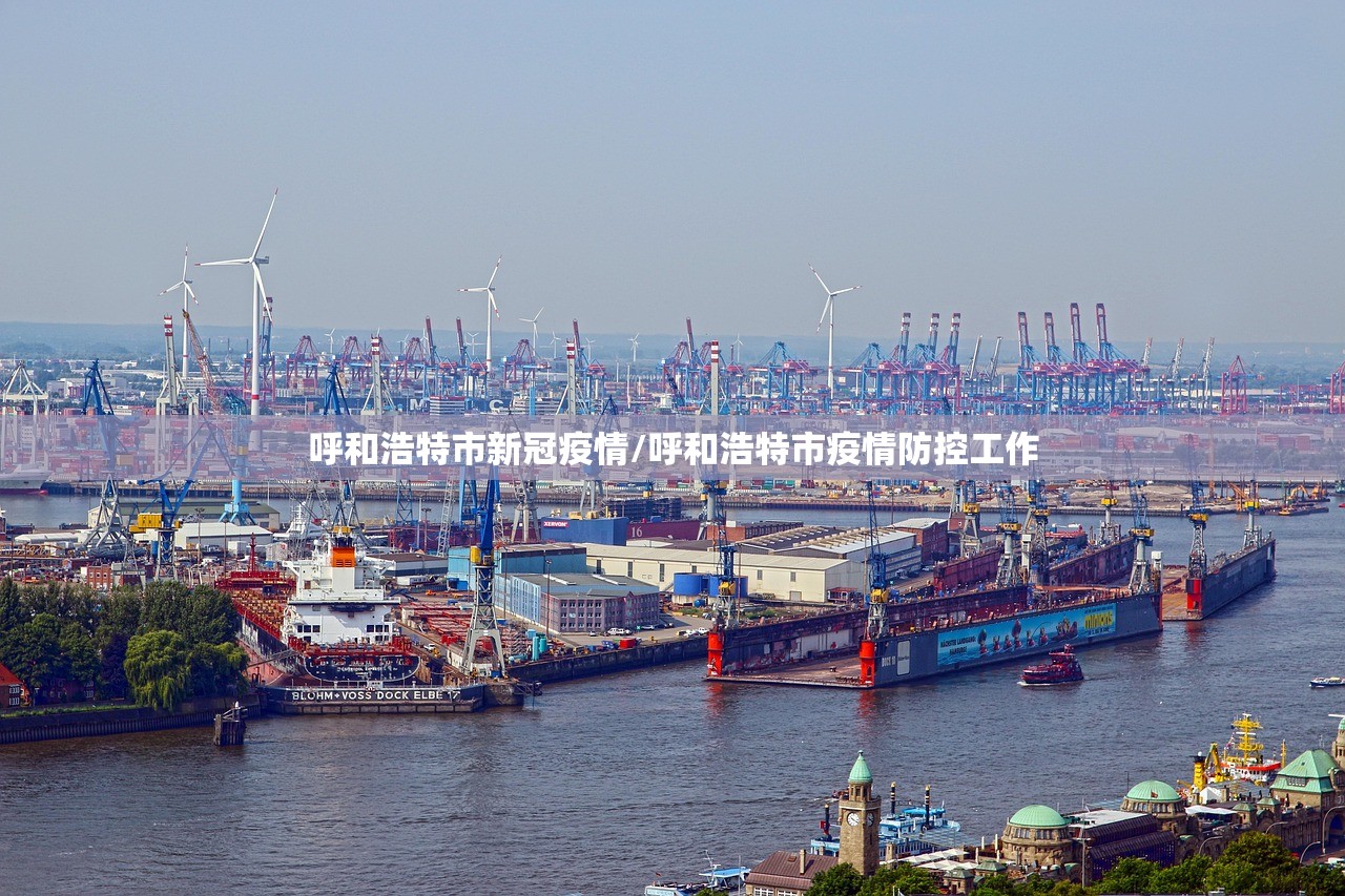 呼和浩特市新冠疫情/呼和浩特市疫情防控工作 呼和浩特市新冠疫情/呼和浩特市疫情防控工作