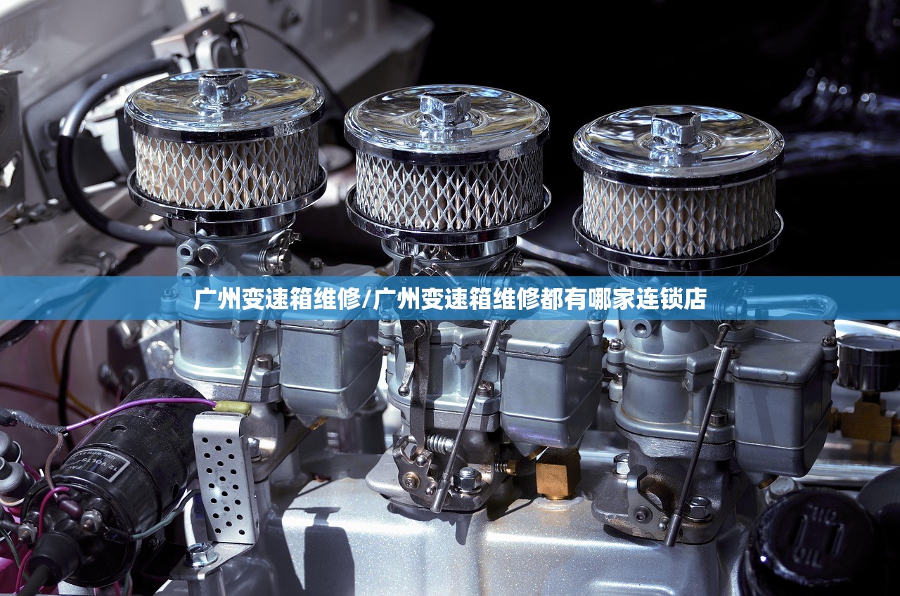 广州变速箱维修/广州变速箱维修都有哪家连锁店 广州变速箱维修/广州变速箱维修都有哪家连锁店