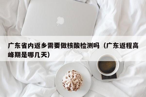 广东省内返乡需要做核酸检测吗（广东返程高峰期是哪几天）