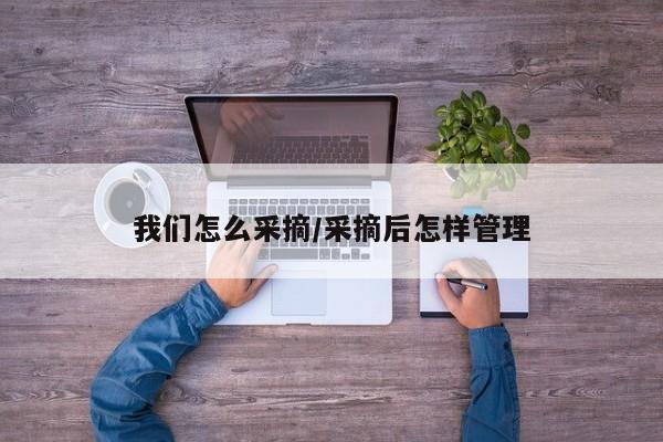 我们怎么采摘/采摘后怎样管理