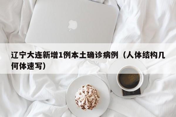 辽宁大连新增1例本土确诊病例（人体结构几何体速写）