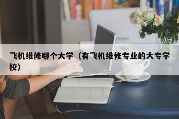 飞机维修哪个大学(有飞机维修专业的大专学校)