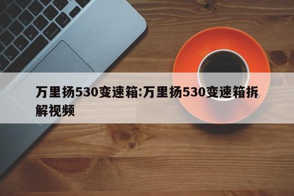 万里扬530变速箱:万里扬530变速箱拆解视频